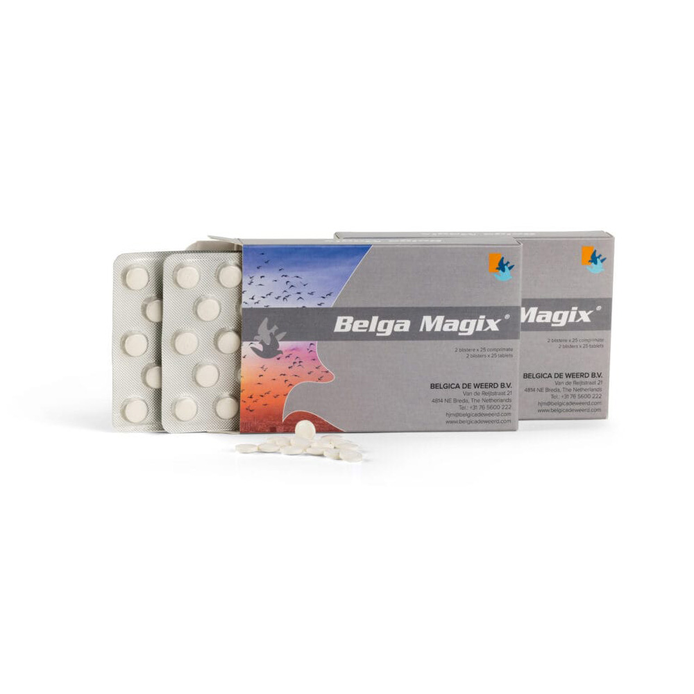 Belga Magix